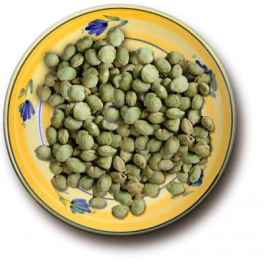 Wasabi  Arady
